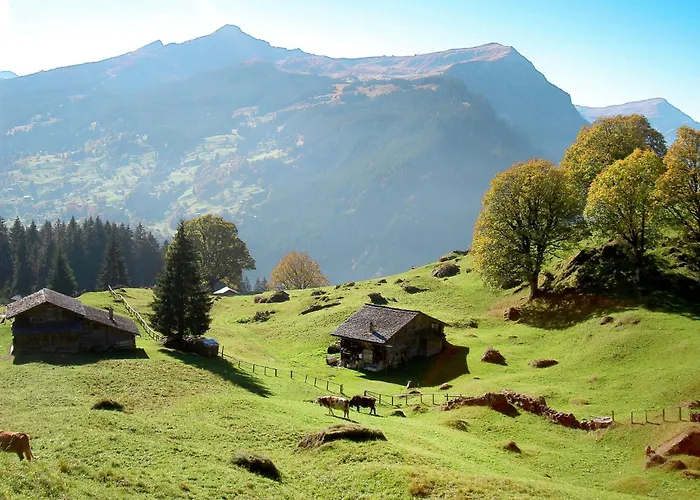 Im Adelheid By Interhome Apartment *